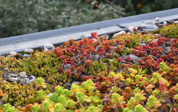 the cost of Headlam green roof installation